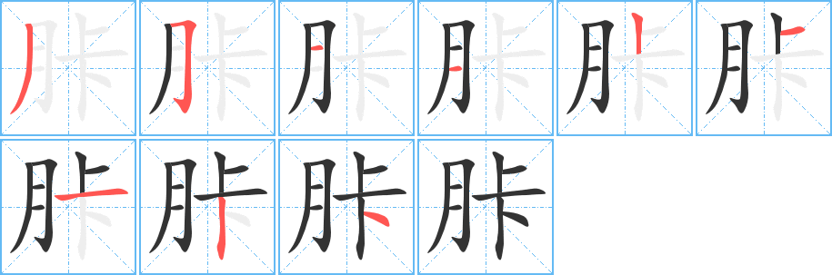 胩的筆順筆畫(huà)