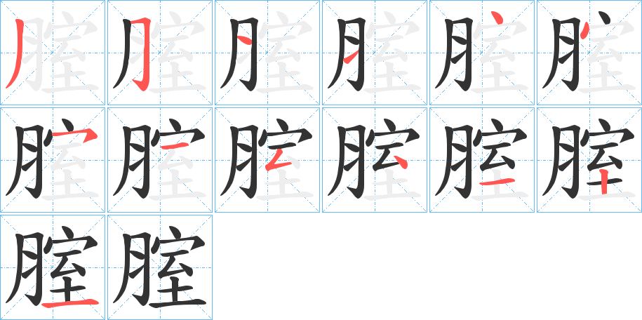 腟的筆順筆畫