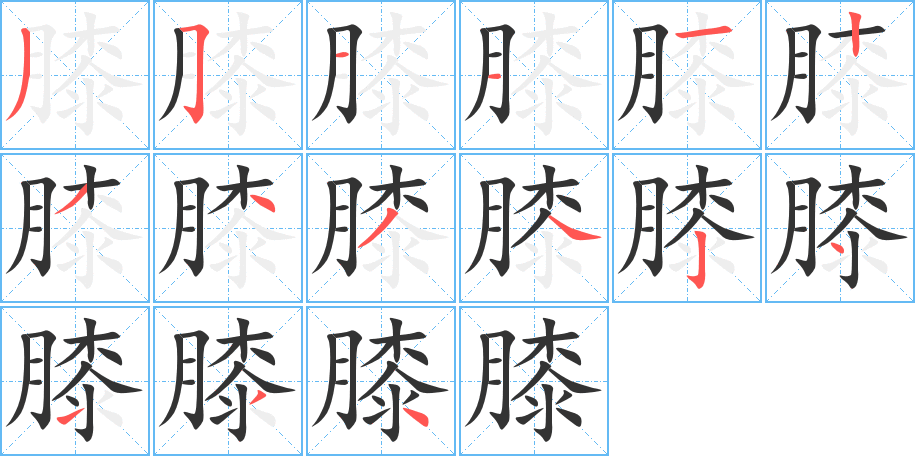 膝的筆順筆畫