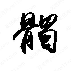 禹衛(wèi)寫的行書髑